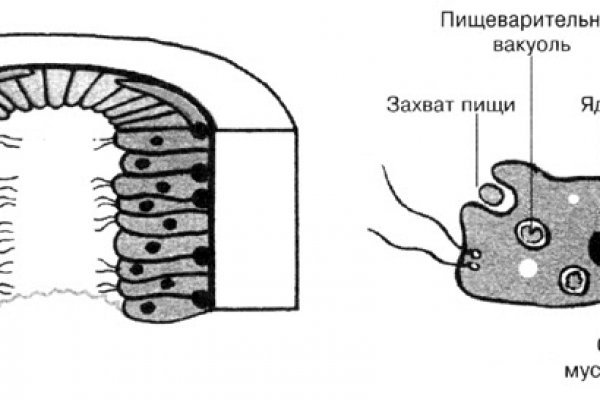 Альтернативные блэкспрут