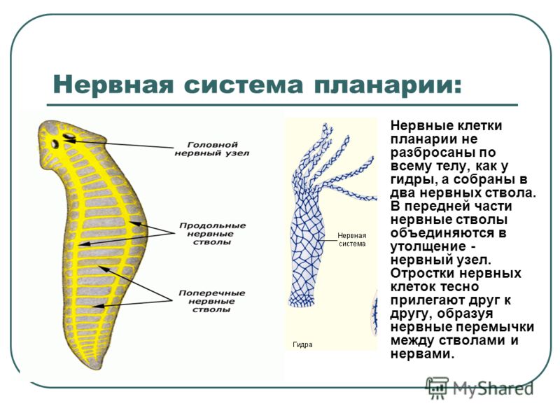 Правильная ссылка на kraken kraken6.at kraken7.at kraken8.at