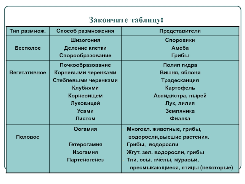 BlackSprutruzxpnew4af onion com блэкспрут сайт