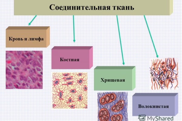 Кракен зеркало ссылка kraken