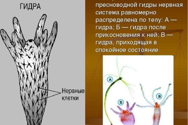 Kraken сайт даркнет